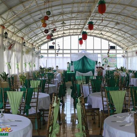 Island Tropic Hotel And Restaurant Alaminos Ngoại thất bức ảnh